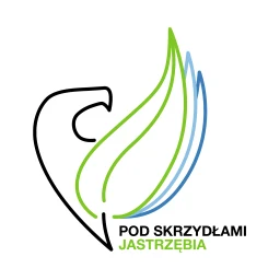 Ikon Pod skrzydłami Jastrzębia